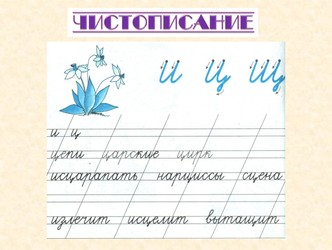 Презентация 1 класс слог как минимальная произносительная единица 1 класс