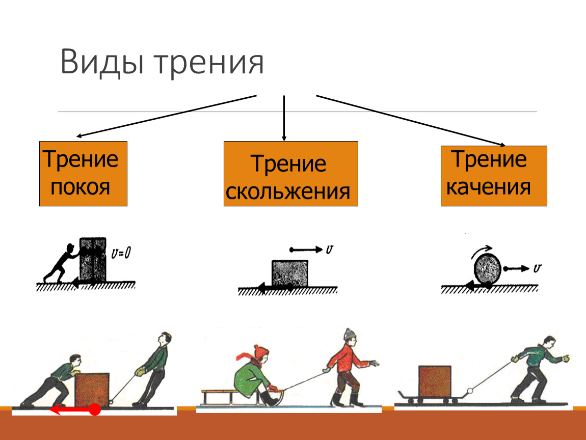 Сила трения и её виды. Трение в природе и технике.