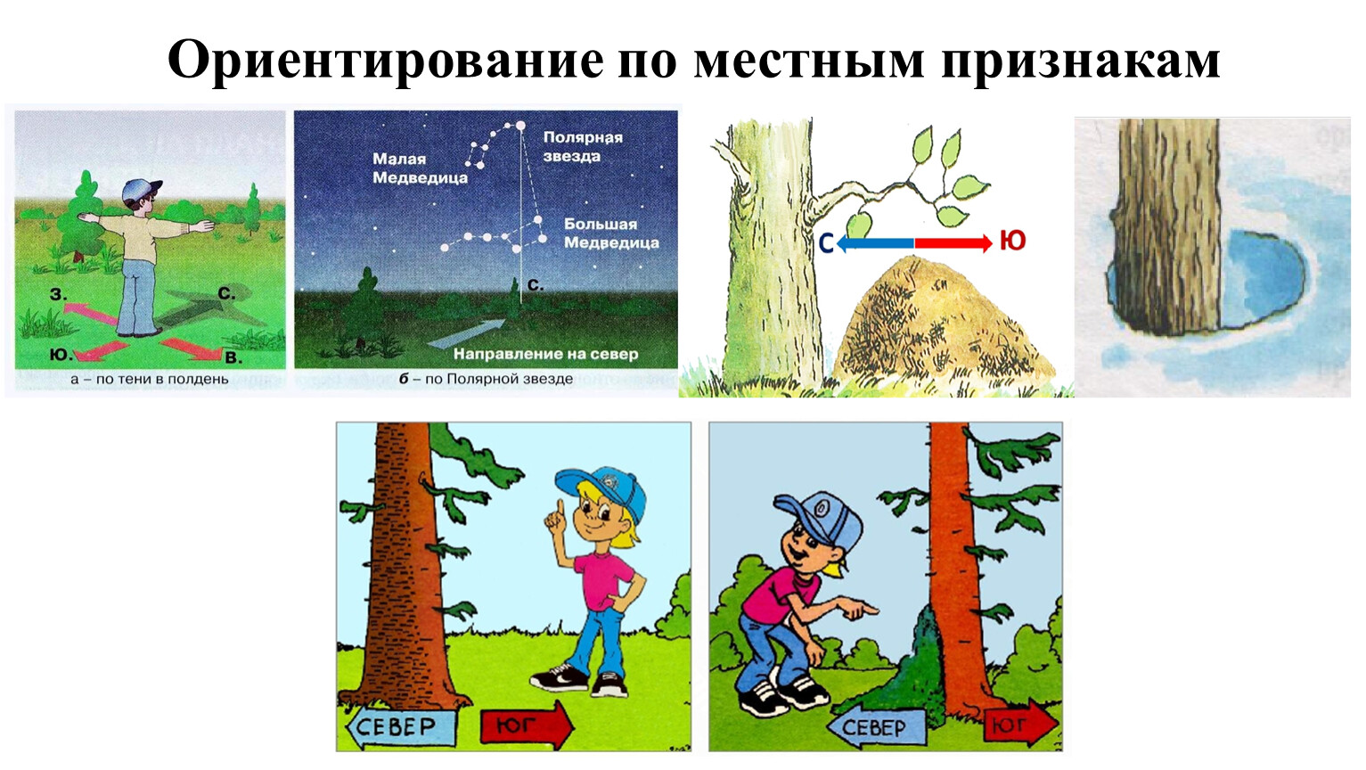 Признаки ориентирования. Ориентация по местным признакам. Ориентирование по местным признакам 5 класс география. Картинки на тему ориентирование по местным признакам. Ориентирование по местным признакам 6 класс ОБЖ.