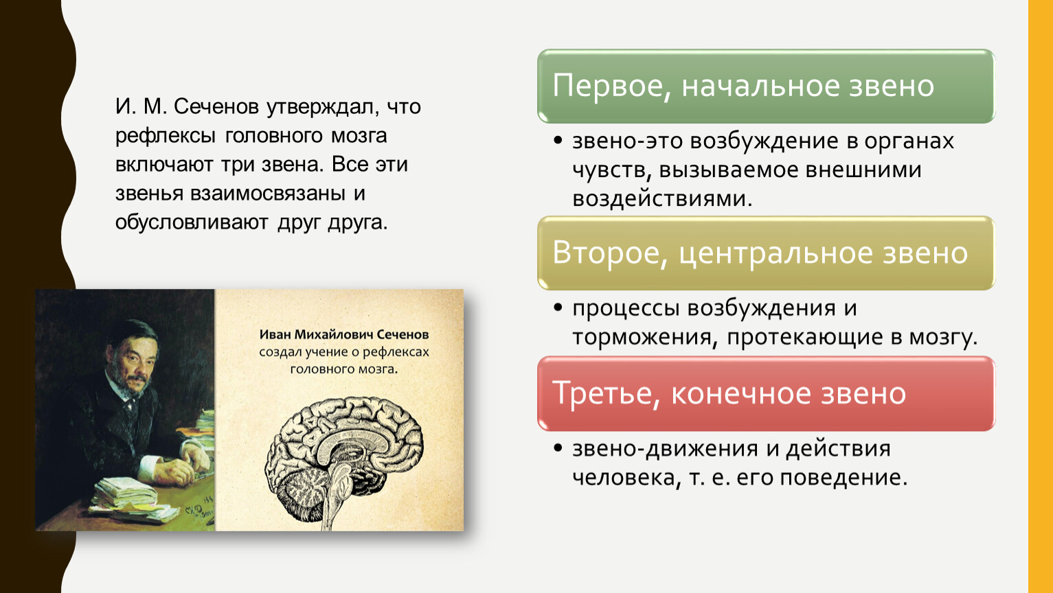 И.М. Сеченов и его труд «Рефлексы головного мозга»