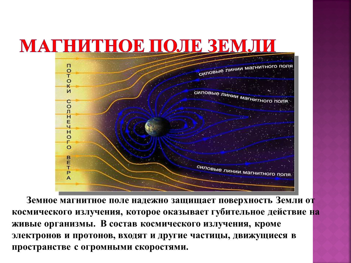 Магнитное поле земли физика кратко