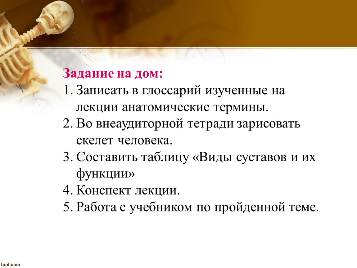 Вопросы по анатомии с ответами. Сложные вопросы по анатомии. Сложные вопросы по анатомии с ответами. Сложные вопросы по анатомии человека. Легкие вопросы по анатомии.