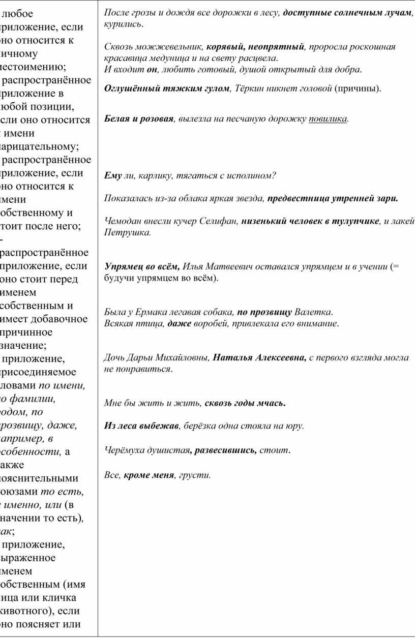 Задание 21 егэ русский теория презентация