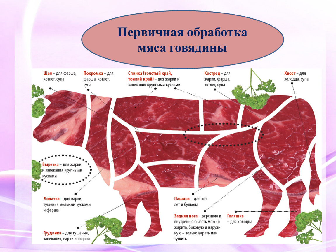 Мясо говядины схема