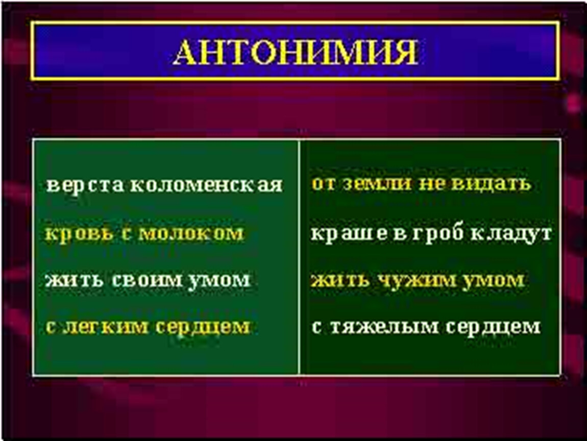 Антонимия. Коломенская верста антоним фразеологизм. Коломенская верста антоним. Антонимия верста Коломенская. Коломенская береста антоним.