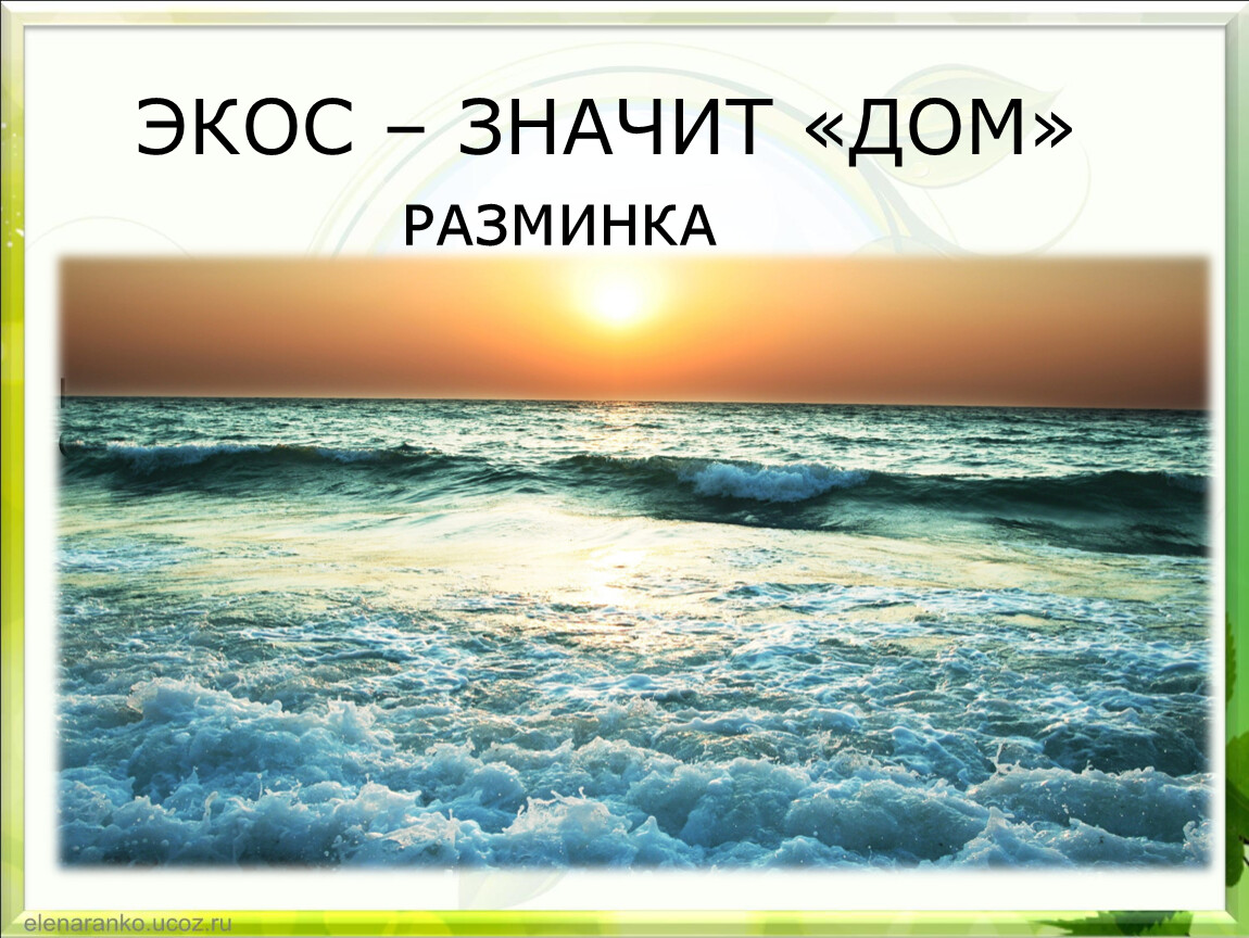 Что значит домой. Экос значит дом. Экос что означает. Кругом вода дом. Кругом вода с утоления жажды беда.