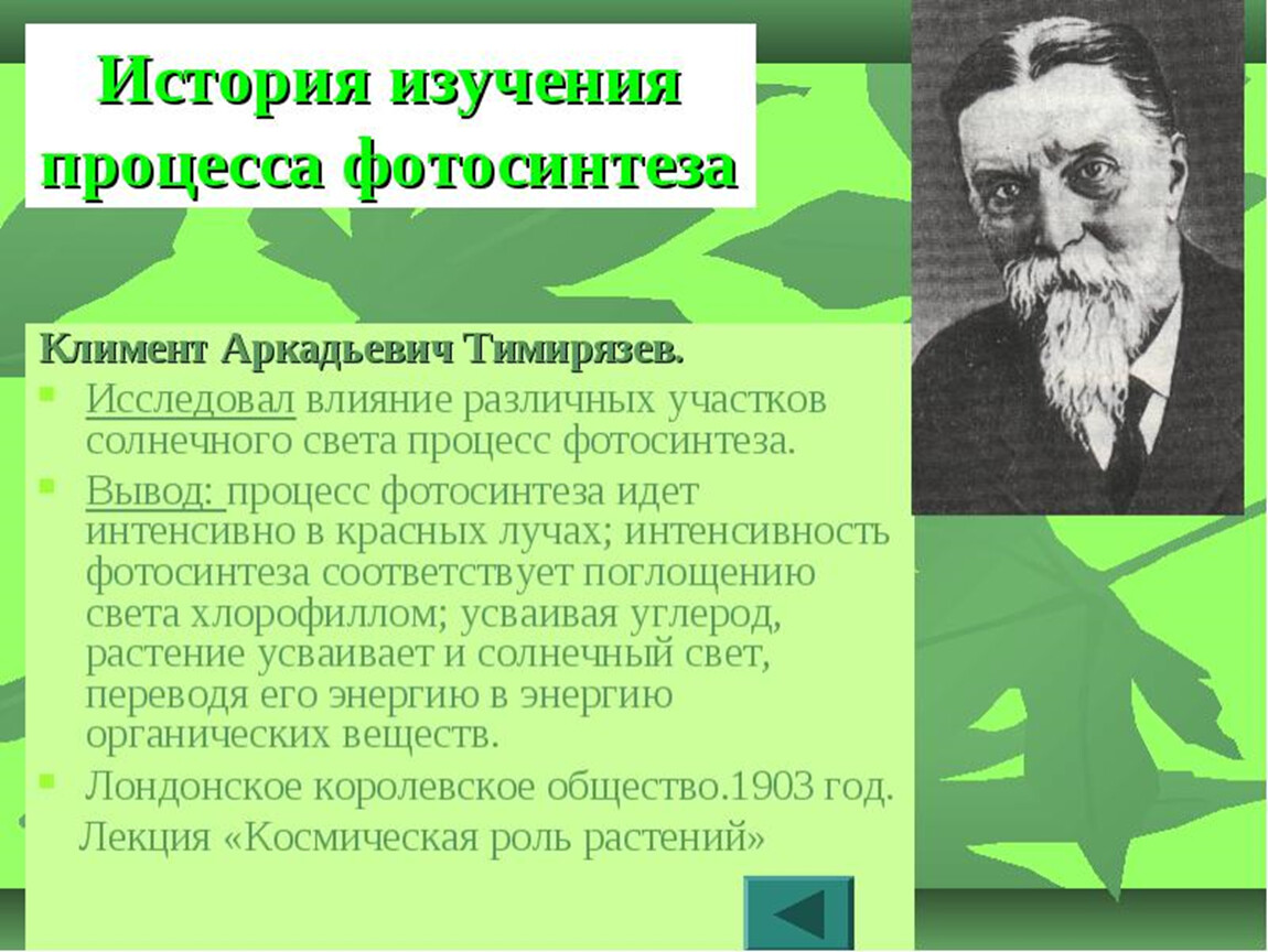 Русский ученый впервые значение хлорофилла для фотосинтеза. Изучение фотосинтеза Тимирязевым. История изучения процесса фотосинтеза.