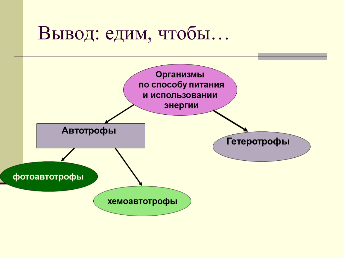 Классы живых организмов 9 класс. Организмы по способу питания и использование энергии. Организмы по способу получения энергии схема. Организмы (по способу получения энергии) автотрофы. Способы получения энергии живыми организмами.