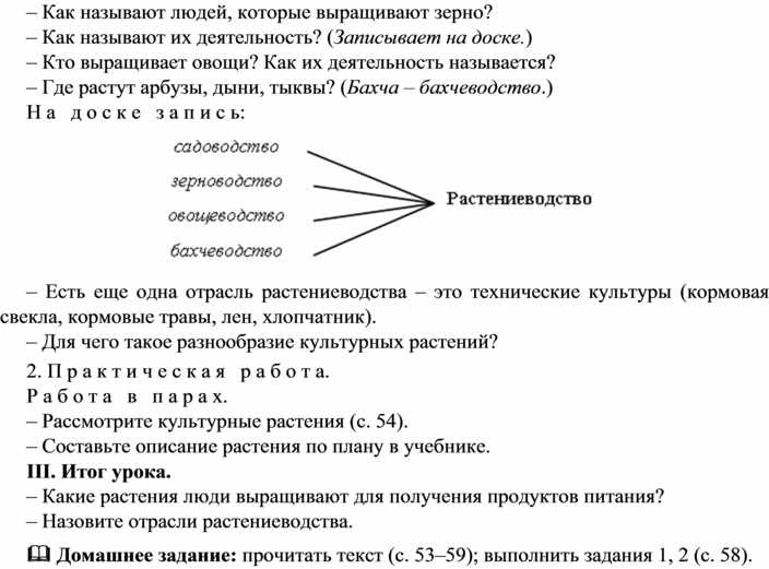 Растениеводство 3 класс проверочная работа. Практическая работа Растениеводство 3 класс.