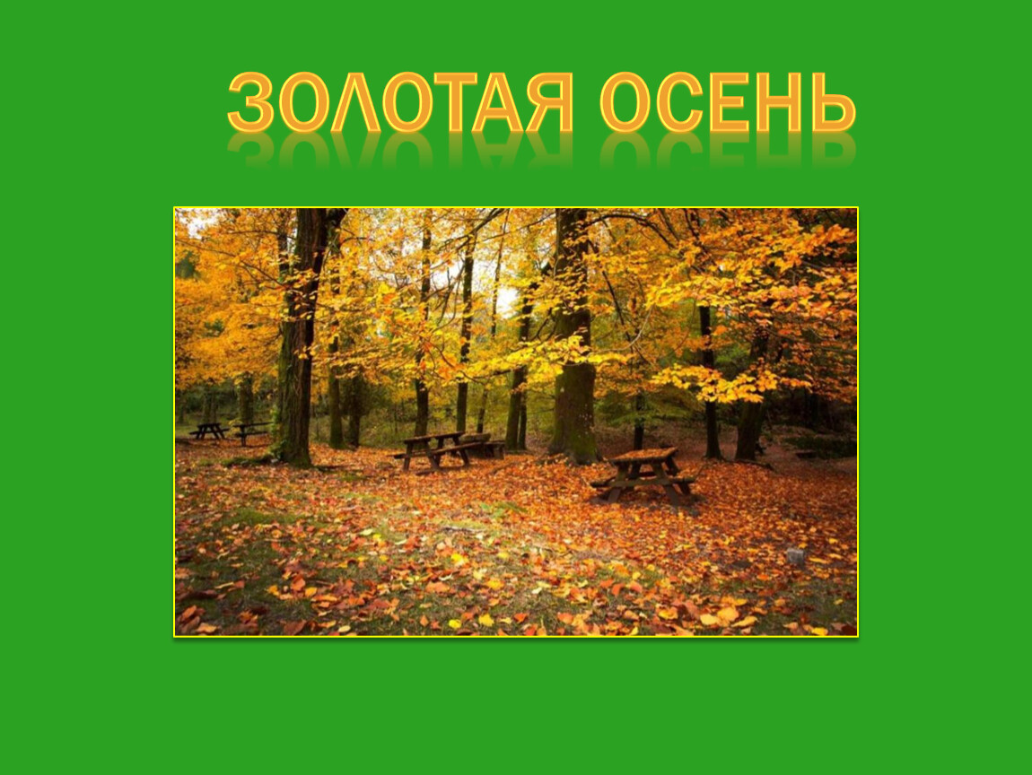 Презентация на тему золотая. Презентация осень. Слайд Золотая осень. Презентация на тему Золотая осень. Классный час Золотая осень.