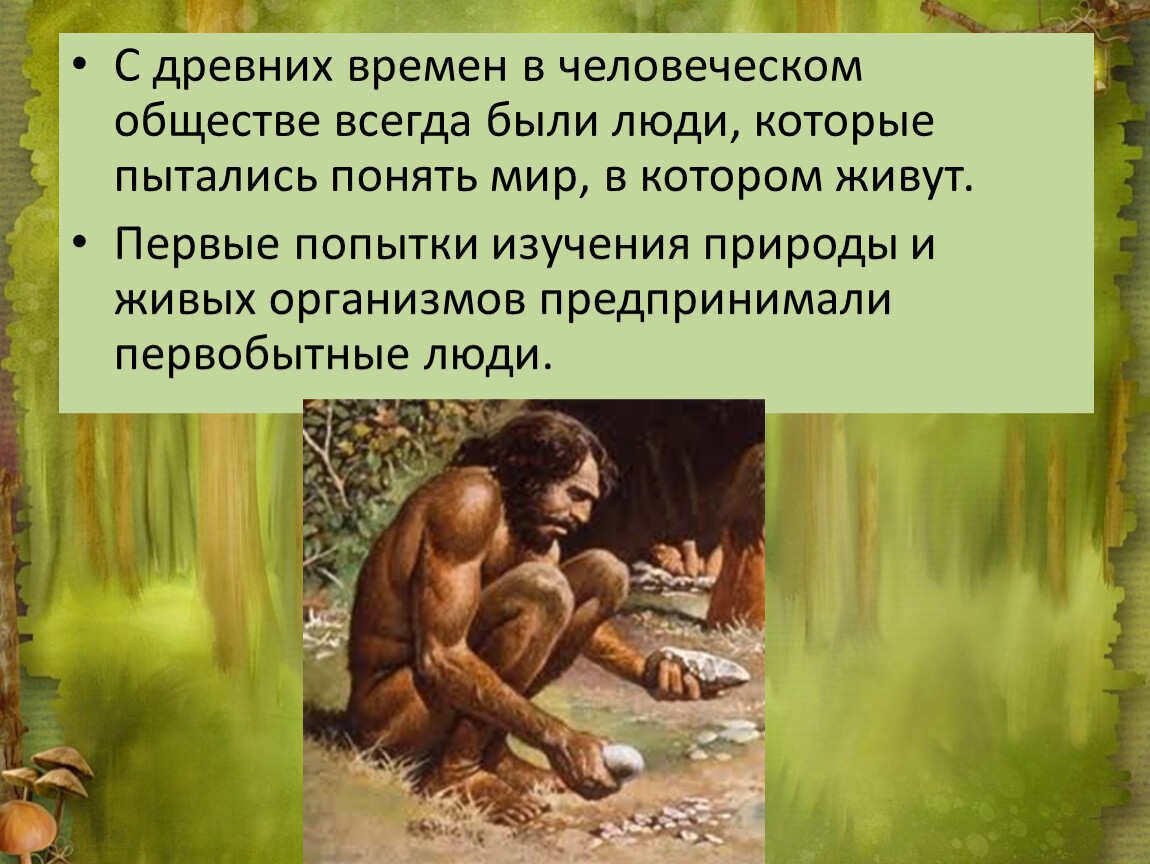 Изменения в человеческом обществе. Основные цели изучения природы первобытных людей кратко. Существа, выросшие в изоляции от человеческого общества. Вся суть человеческого общества. Контрольная работа по истории 5 класс жизнь первобытных людей.