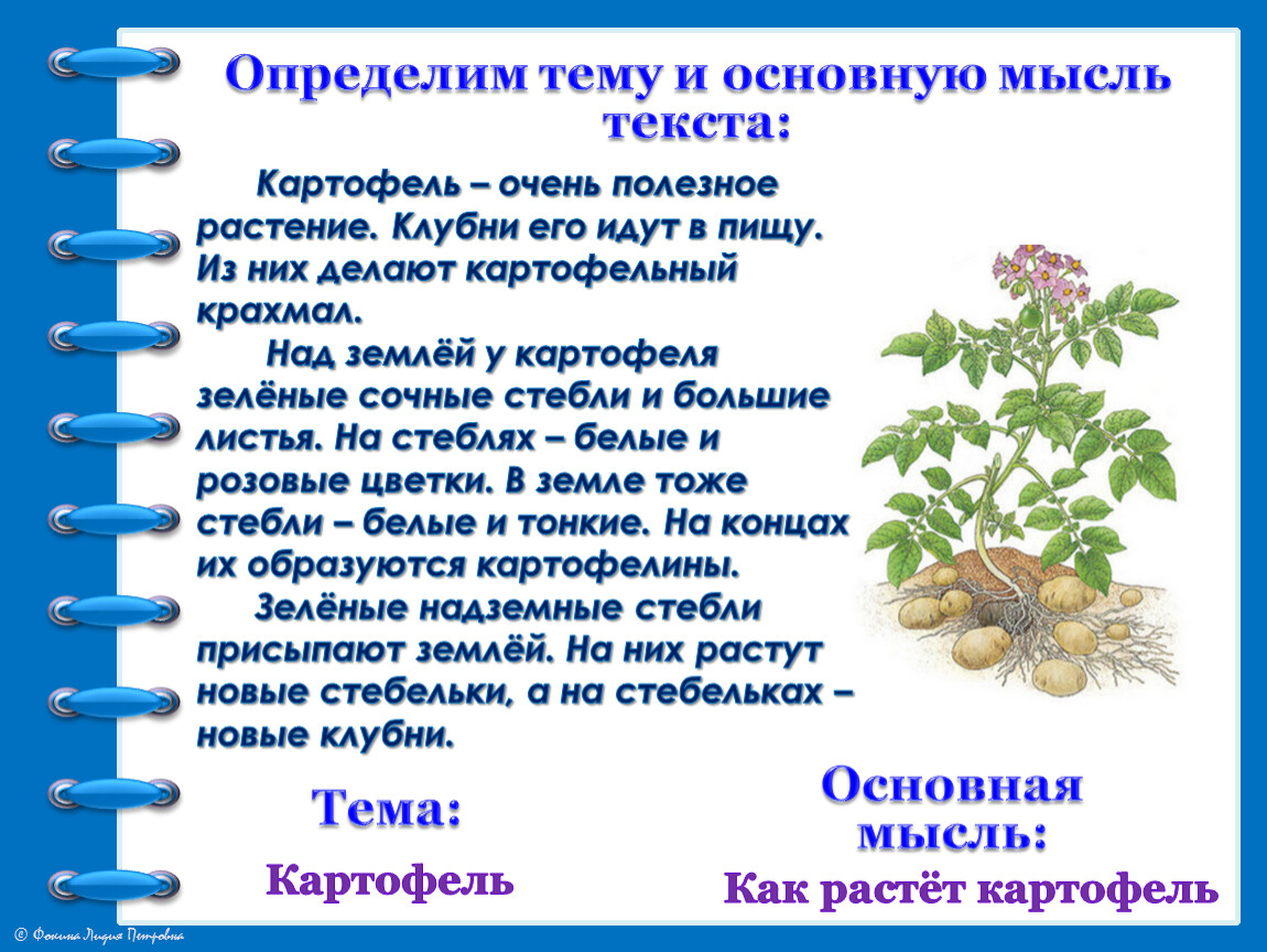 Возле старого колодца стоит высокая кудрявая береза основная мысль текста и план с ответами