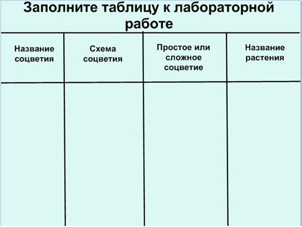 Лабораторная работа по теме соцветия рассмотрите картинки и заполните таблицу