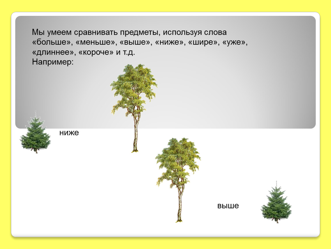 Менее выше. Текст сравнения предметов. Высокие и низкие слова. Ветка тоньше чего Сравни предметы. Сравнивать предметы 10 слов.