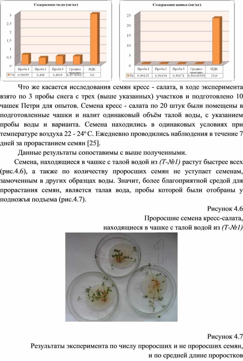 Что же касается исследования семян кресс - салата, в ходе эксперимента взято по 3 пробы снега с трех (выше указанных) участков и подготовлено 10 чашек