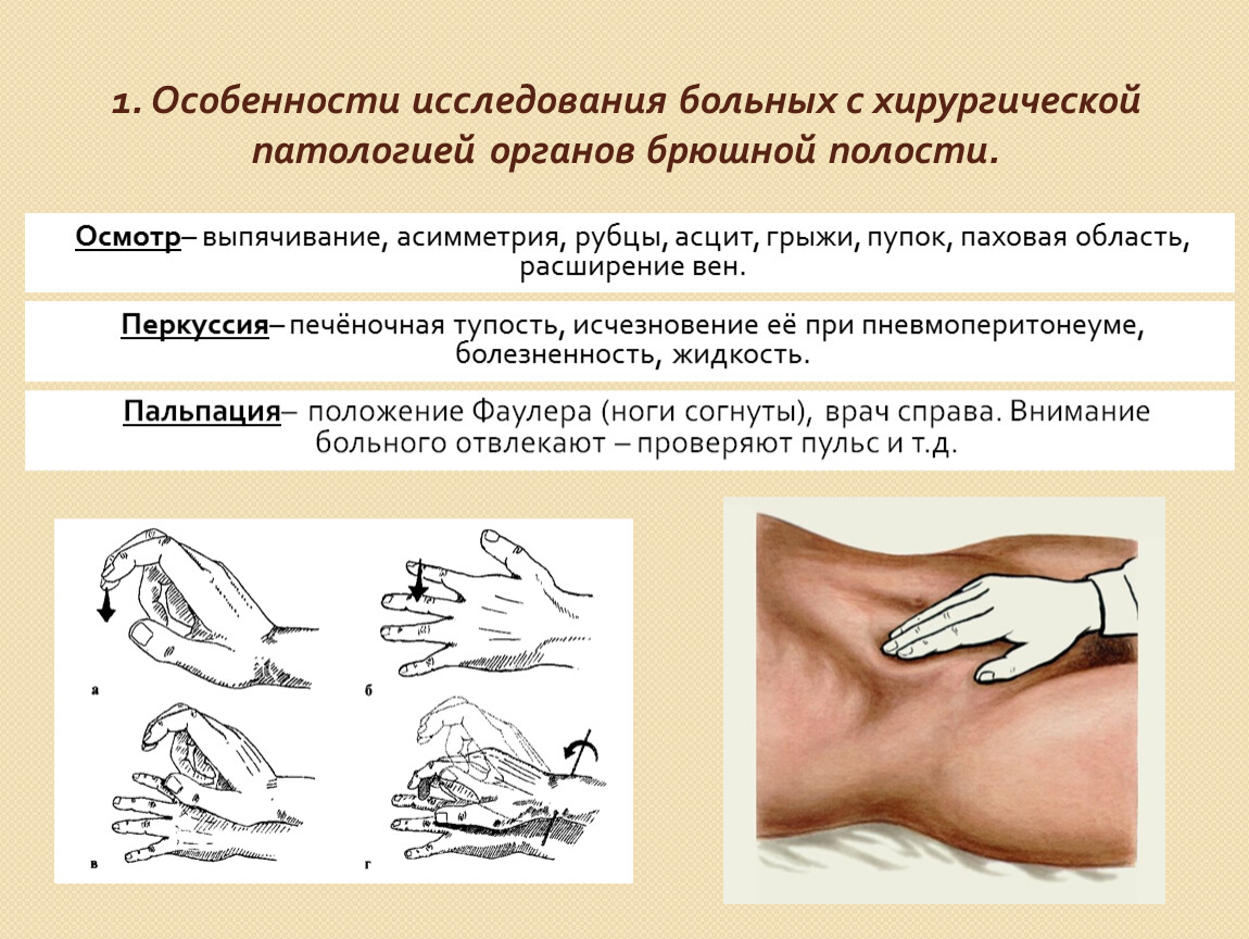 Осмотр органов брюшной полости. Осмотр живота при острой хирургической. Особенности обследование пациента с хирургической патологией. Порядок обследования живота и органов брюшной полости..