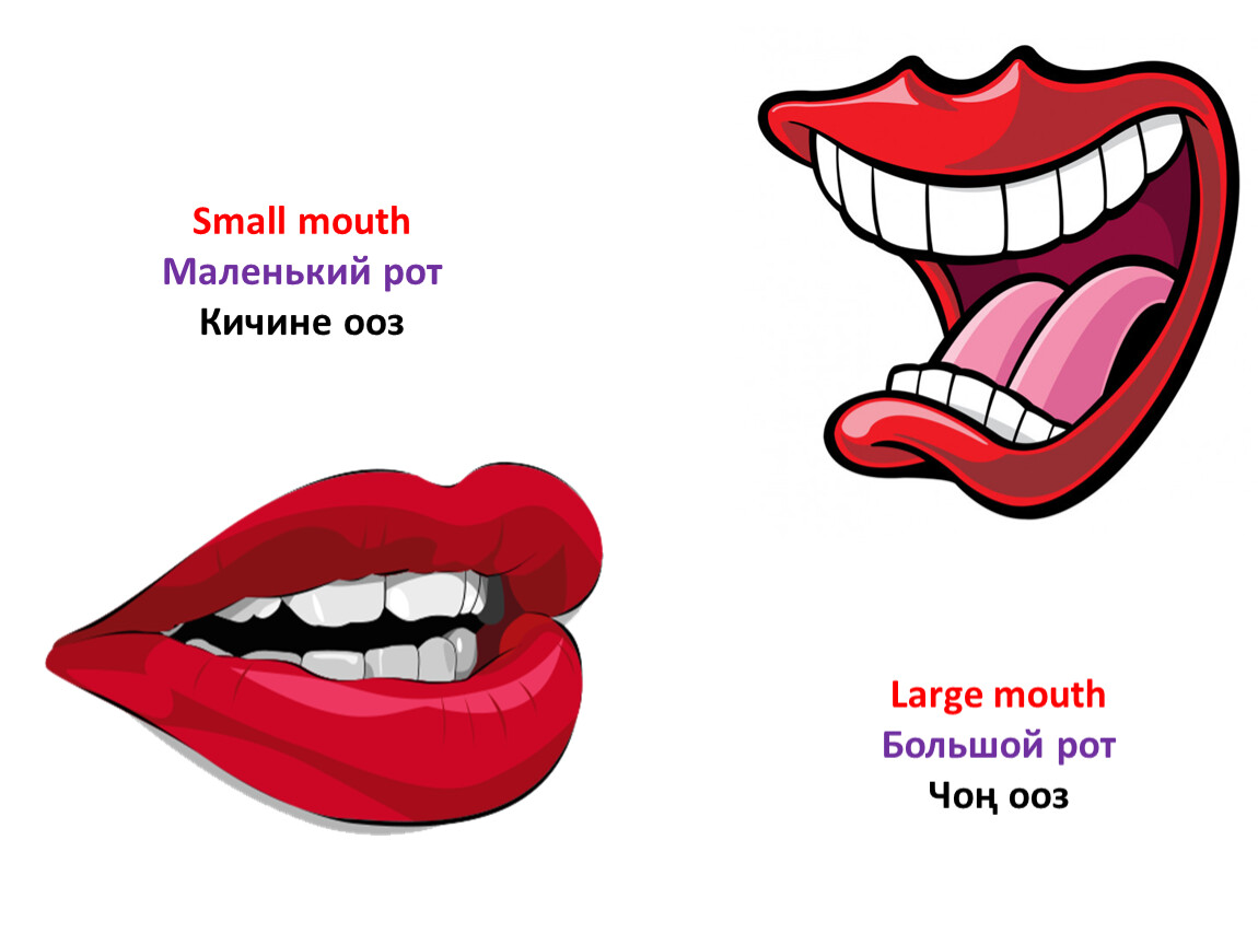 Шире рот. Маленький рот и большой рот. Рот большой средний малый.