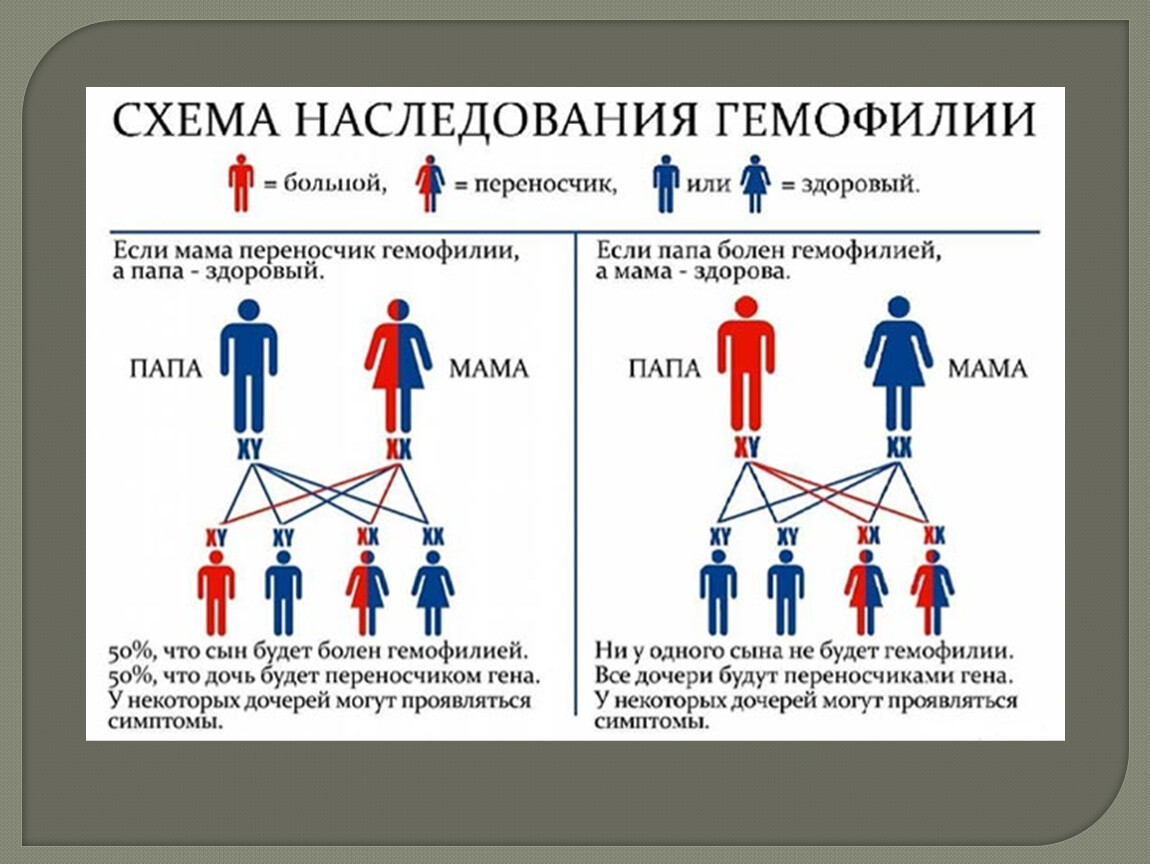 Схема наследования дальтонизма