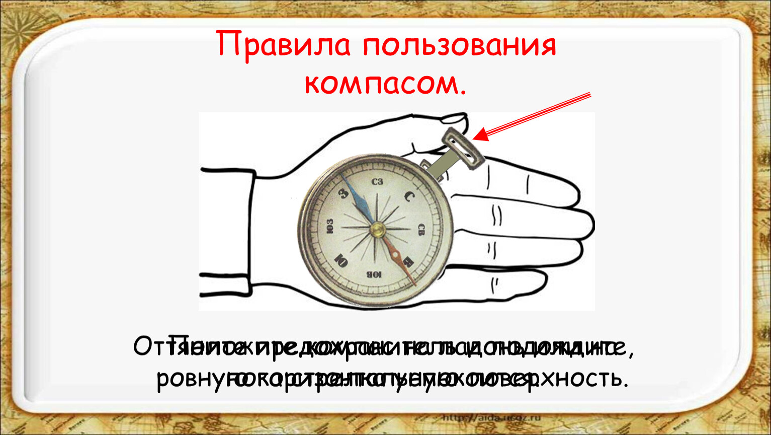 Воспользоваться верно. Как правильно пользоваться компасом. Как научиться пользоваться компасом. Как пользоваться компасом инструкция. Правила пользования тампоксом.