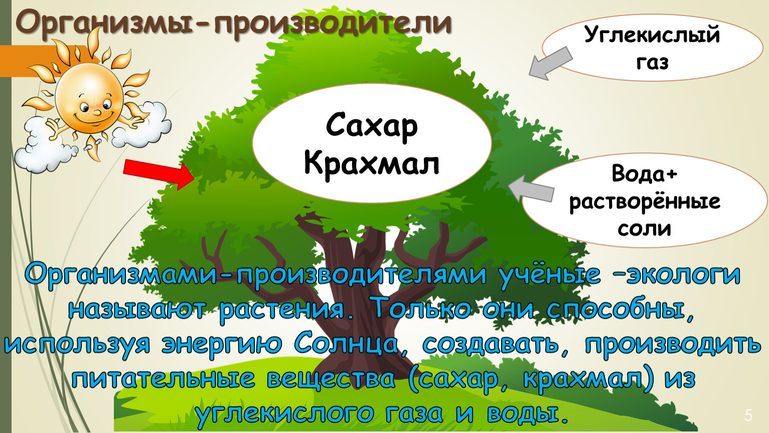 Презентация к уроку окружающего мира 3 класс