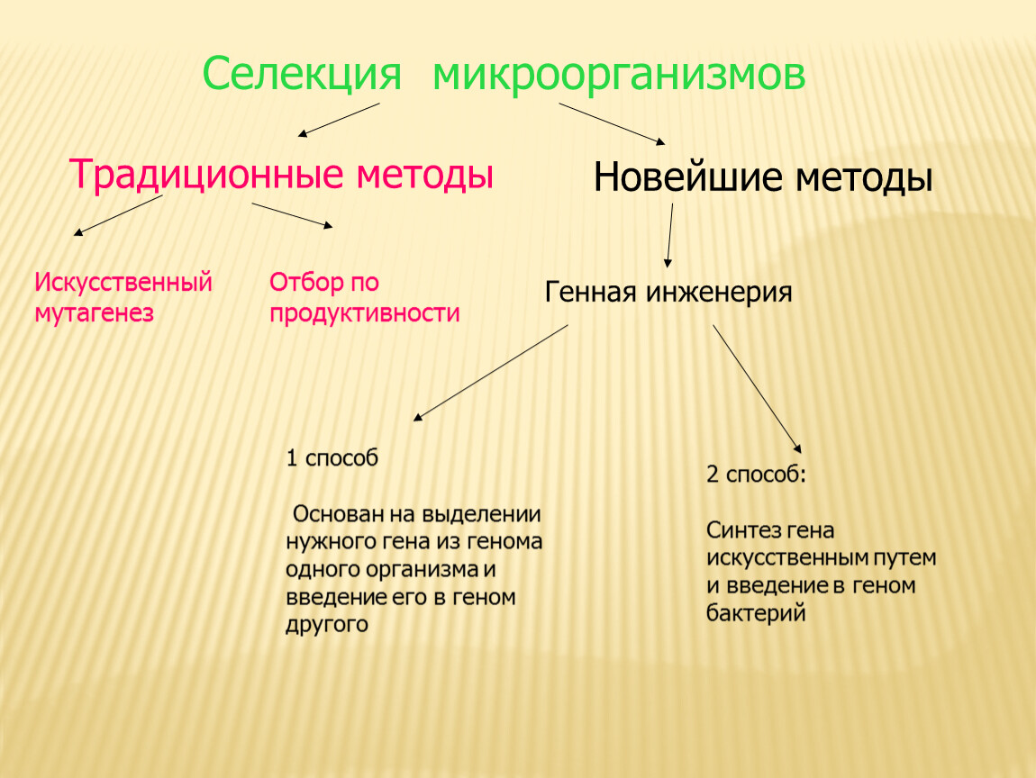 Схема методов селекции