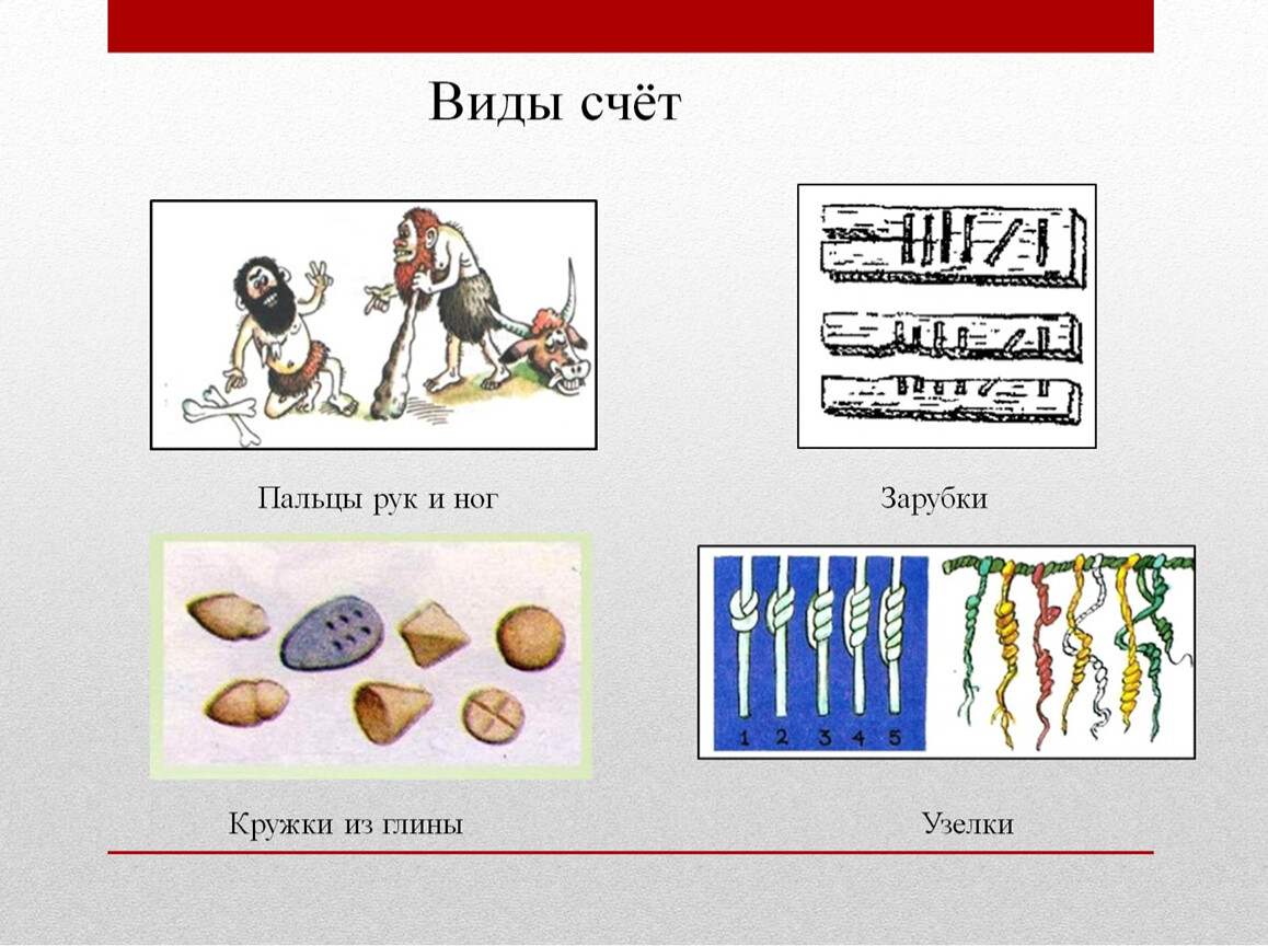 Типы счетов. Какие бывают виды. Какая бывает история. Какие виды истории бывают. Образцы какие бывают виды.