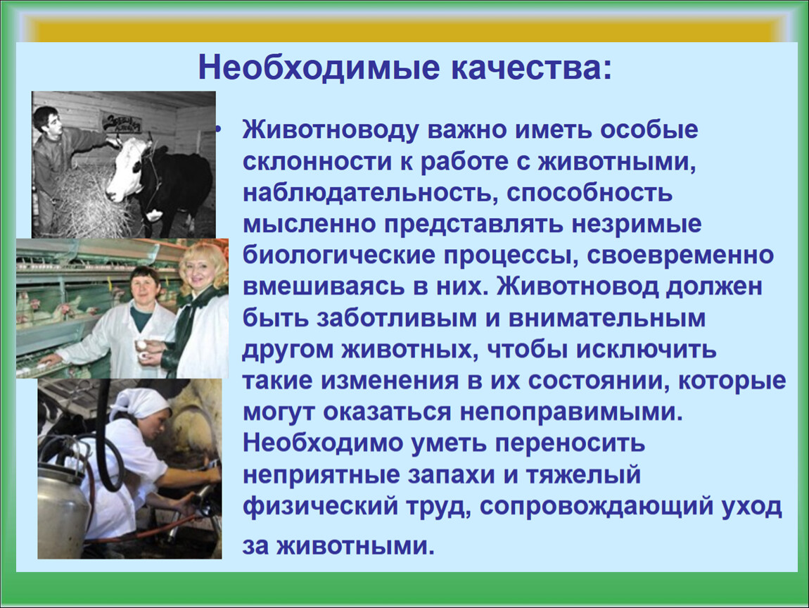 Какую работу выполняют люди. Профессии животноводства. Профессия животновод. Рассказать о профессии животновод. Профессии животноводства 8 класс.