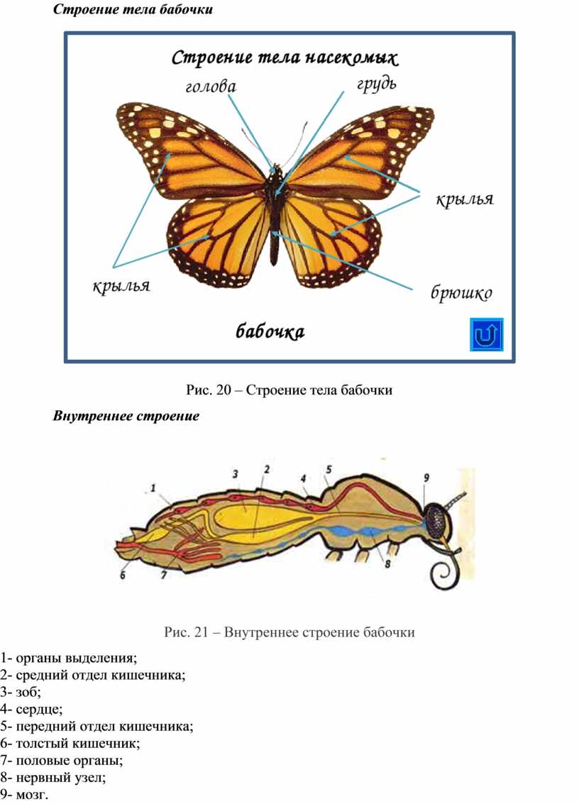 Исследовательская работа 