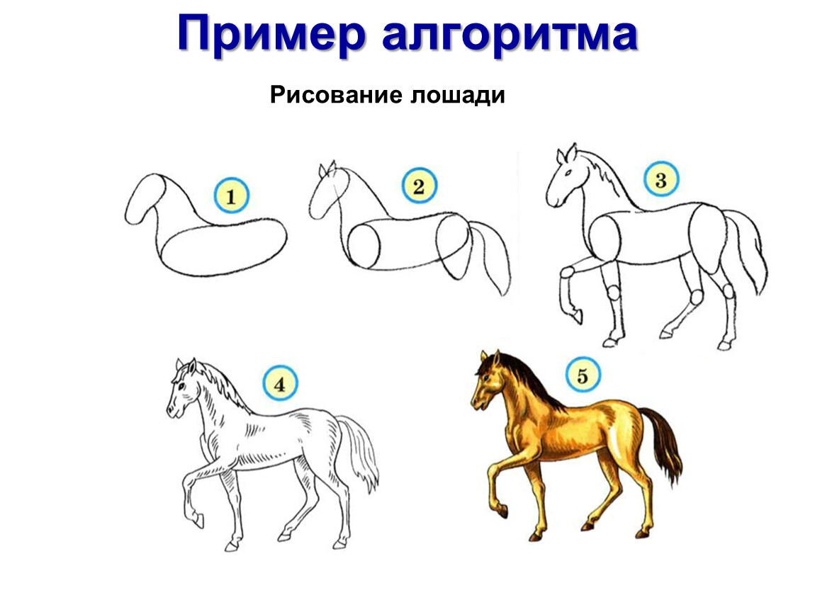 Рисуем лошадку поэтапно для детей 4 5 лет