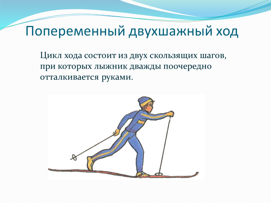 При передвижении на лыжах применяют. Попеременный двухшажный ход на лыжах. Попеременный двухшажный ход лыжник. Попеременный двухшажный ход цикл хода. Лыжные ходы попеременный двухшажный ход.
