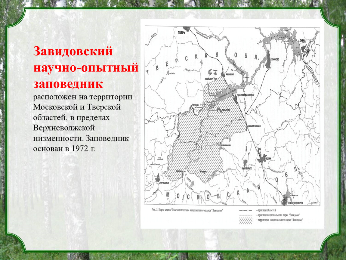 Московские заповедники завидовский. Завидовский государственный заповедник на карте. Завидовский научно-опытный заповедник. Завидовский заповедник Тверской области. Границы Завидовского заповедника на карте Тверской.