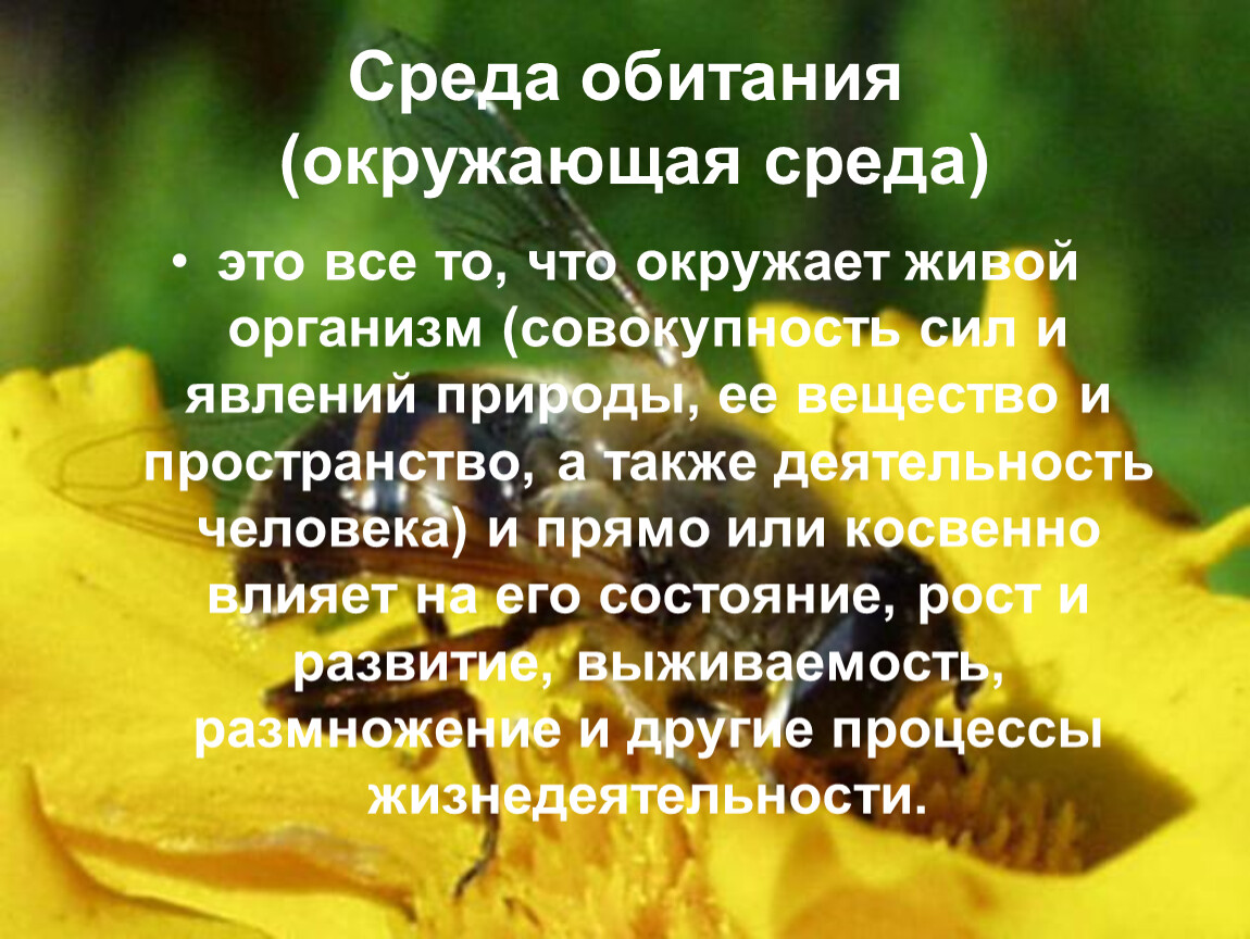 Все то что окружает живой организм. Окружающая среда обитания это. Среда обитания организма это совокупность.