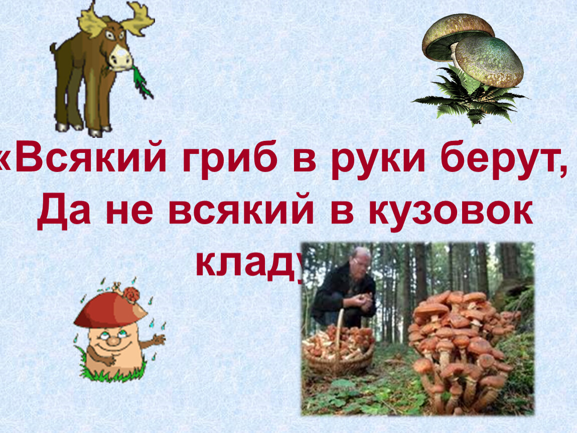 Не всякий. Всякие грибы. Всякий гриб в руки берут. Всякий гриб в руки берут, да не всякий в кузовок кладут. Не всякий гриб.