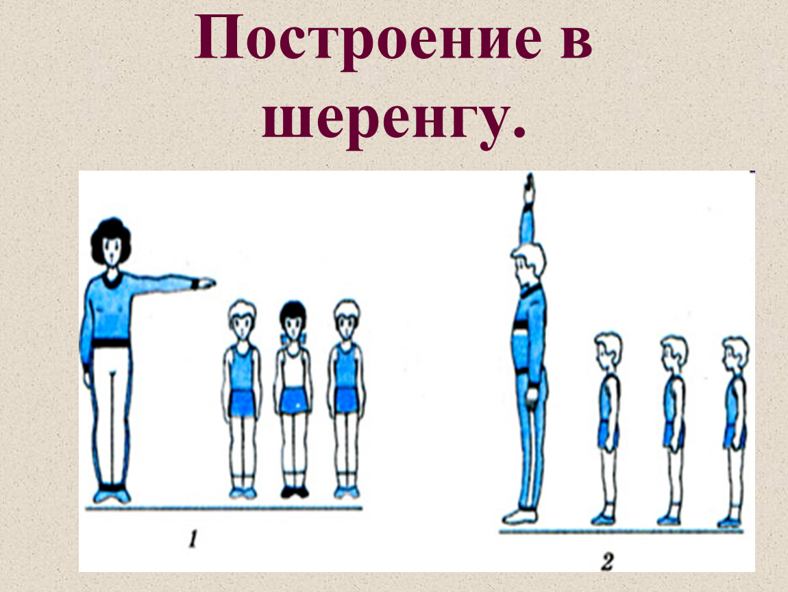 Построение в строю. Построение в шеренгу. Построение детей в шеренгу. Построение в шеренгу и колонну. Построение в шеренгу на физкультуре.