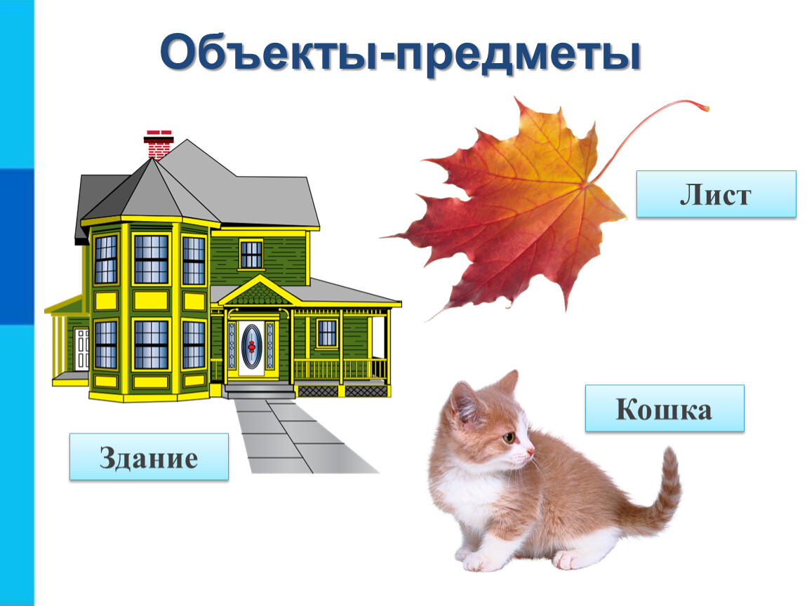 Виды объектов предмет. Объекты окружающего мира. Объект и предмет. Объект окружающего мира презентация. Объекты окружающего мира Информатика.