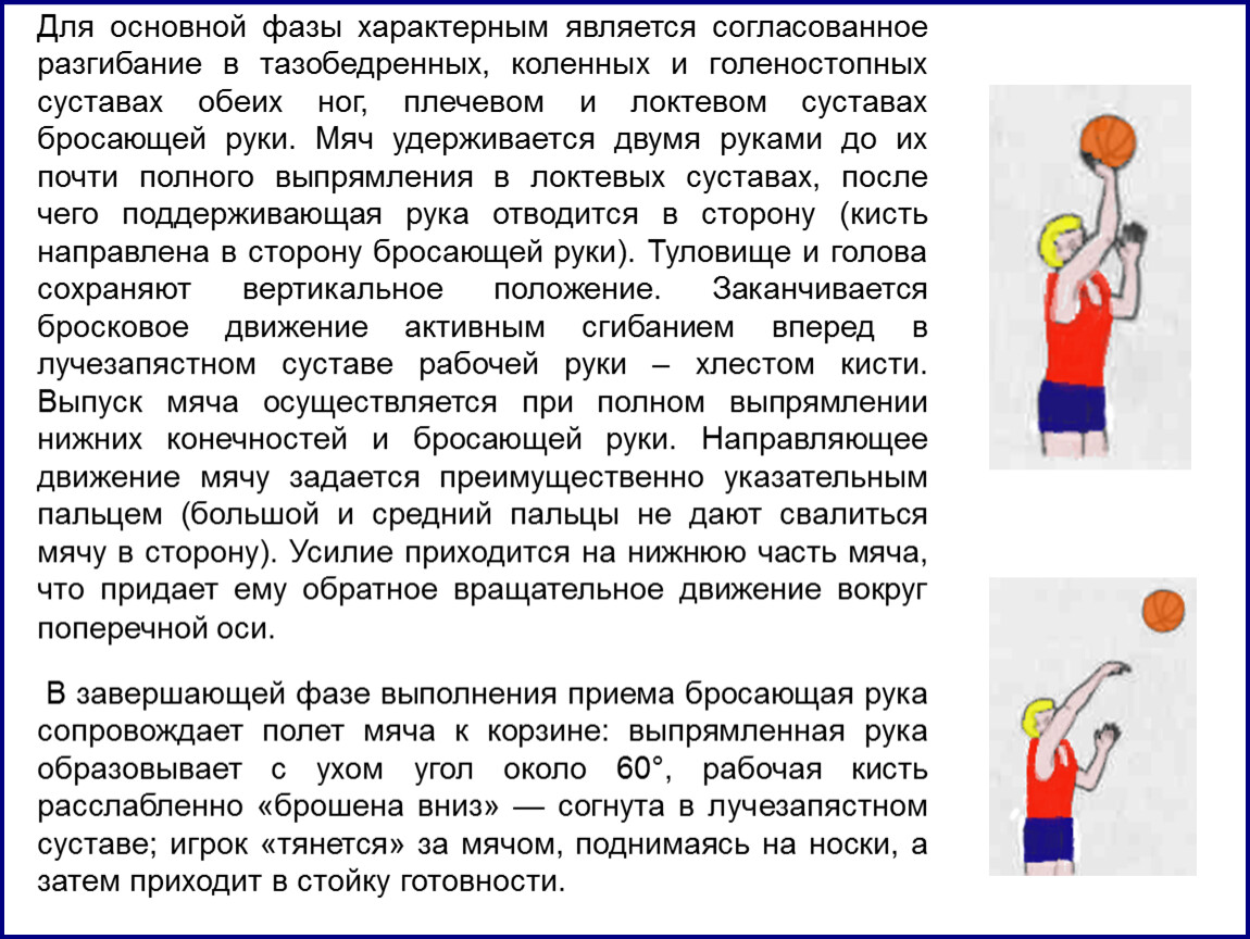 Бросок мяча рукой. Бросок мяча в движении. Бросок мяча двумя руками от груди в баскетболе. Фазы броска мяча в кольцо. Сообщение по физкультуре бросок мяча в кольцо.