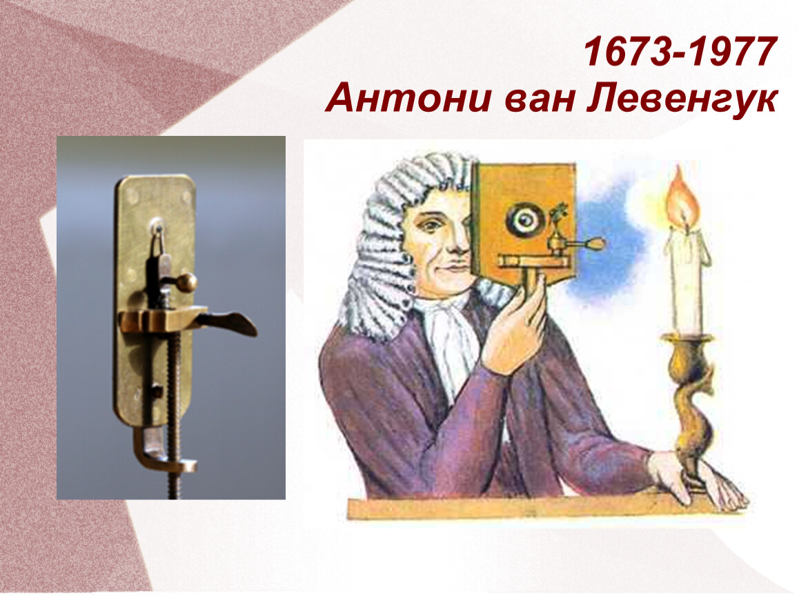 1673-1977 Антони ван Левенгук