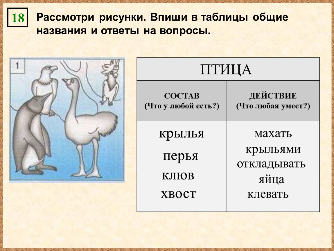 Рассмотри рисунок и определи значение м