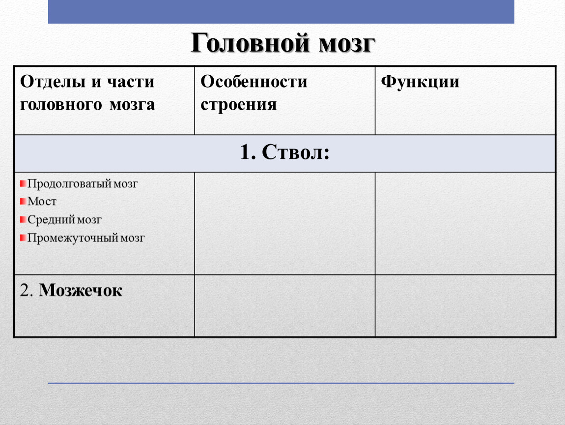 Используя обозначения рисунка заполните таблицу отделы головного мозга и их функции