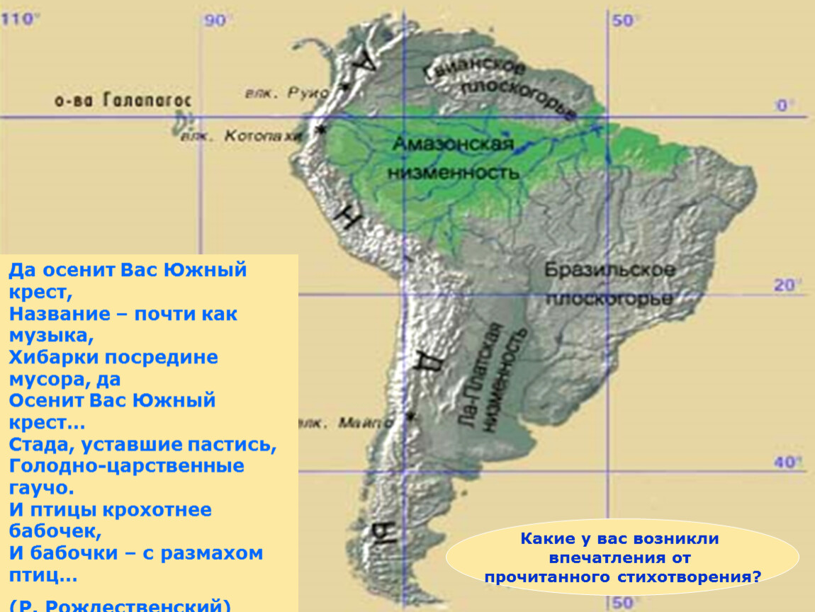 Амазонская низменность понижение рельефа в каком направлении. Где находится Амазонская низменность на контурной карте. Южная Америка низменность амазонки. Ла Платская и Оринокская низменность на карте. Где находится Амазонская низменность на карте Южной Америки.
