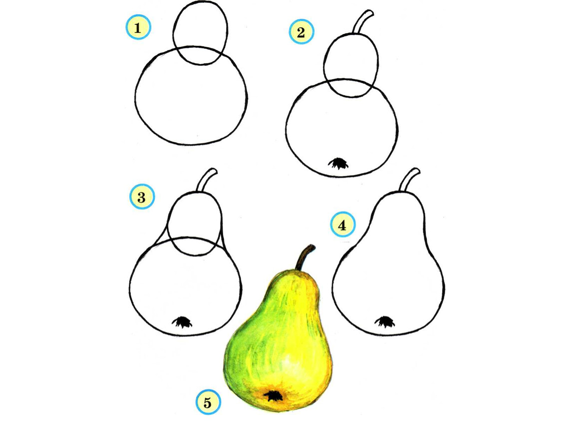 Урок изо 1 класс презентация поэтапное рисование. Рисование фруктов и овощей. Поэтапное рисование овощей. Поэтапное рисование натюрморта для детей. Пошаговое рисование фруктов для детей.