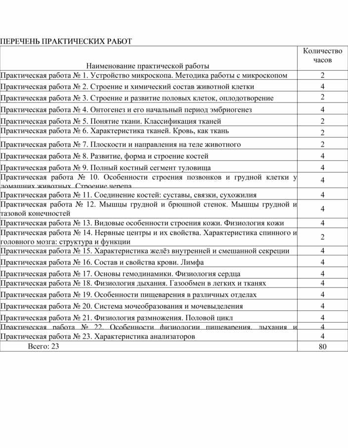 Анатомия практические работы