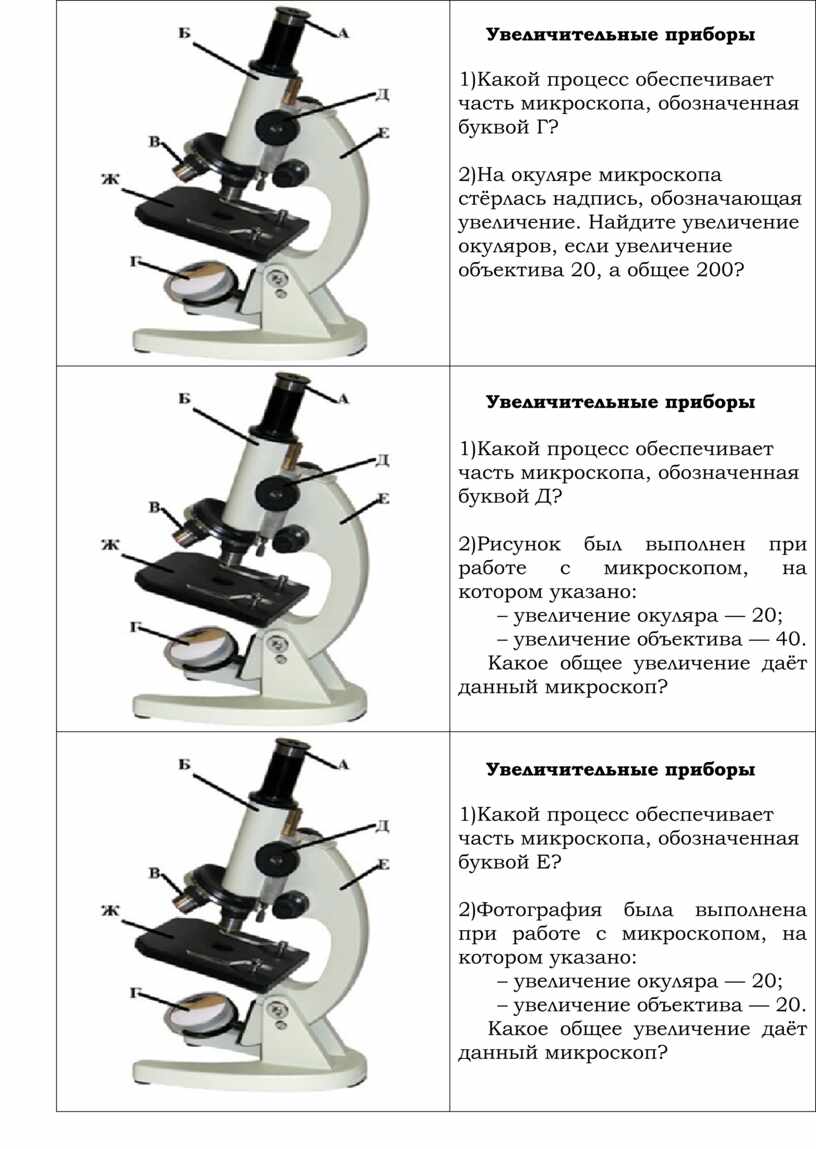 рисунок был выполнен при работе с микроскопом на котором (99) фото