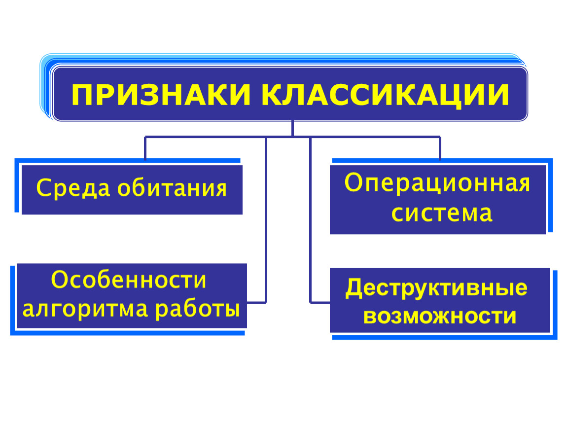 Компьютерные вирусы и антивирусные программы.ppt