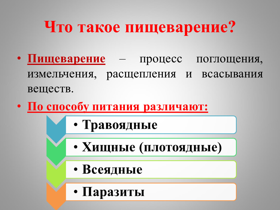 Что такое пищеварение. Пищеварение. Способы пищеварения. Пищеварение определение. Этап процесса отдел пищеварения.