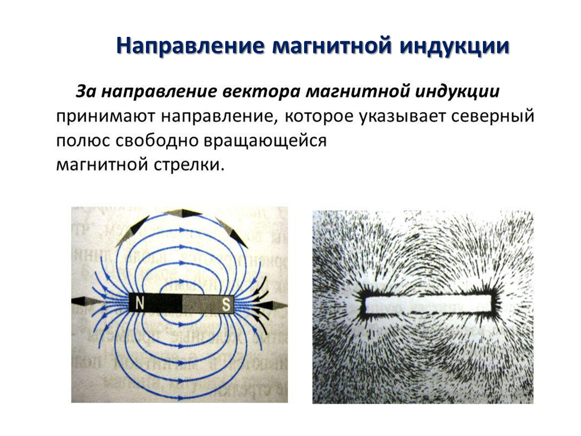 Принятое направление. Направление модуля магнитной индукции по магнитной стрелке. Магнитная индукция направление вектора. За направление вектора магнитной индукции. Направление вектора магнитной индукции полюса.