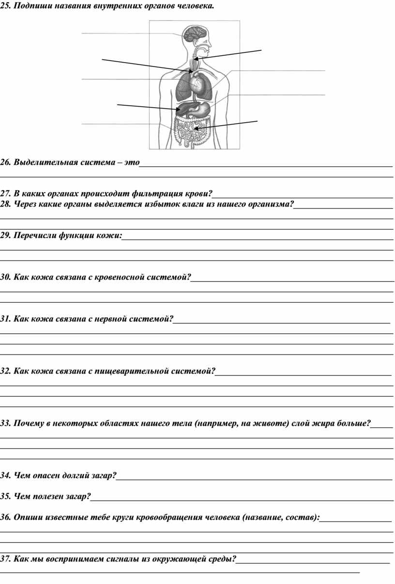 Самостоятельная работа по окружающему миру по теме 