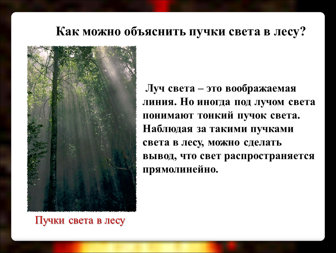 Свет 2 класс презентация. Свет источники света распространение света. Источники света распространение света 8 класс физика. Пучки света в лесу. Можно объяснить пучки света в лесу.