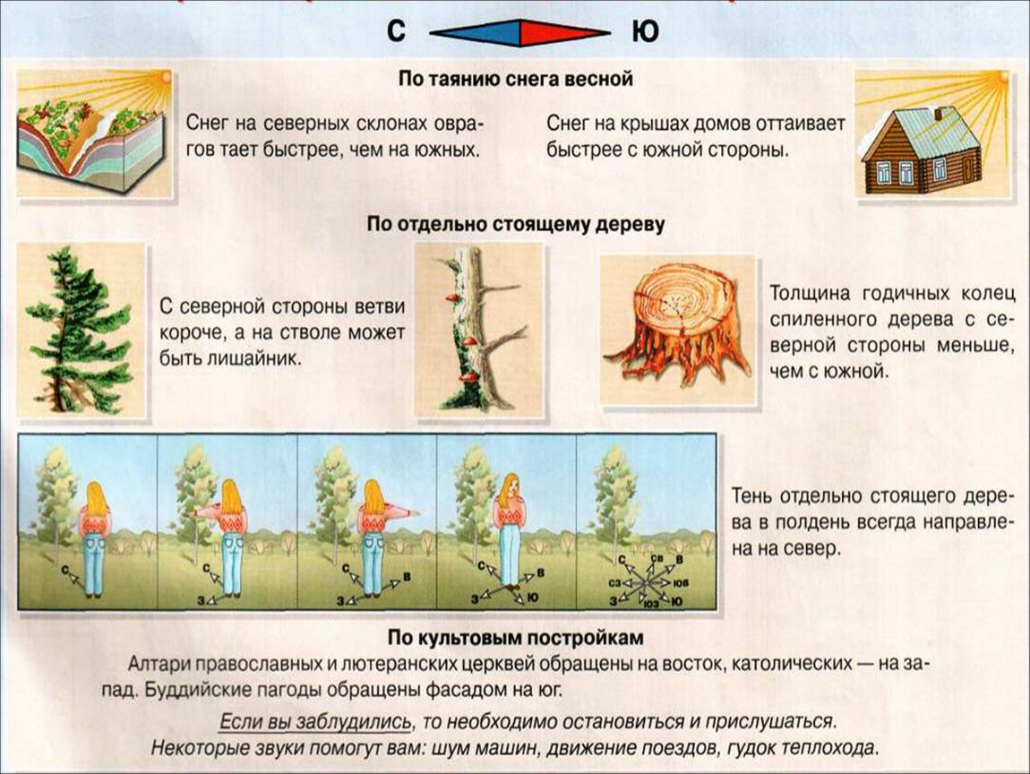 Ориентирование на местности по местным признакам презентация