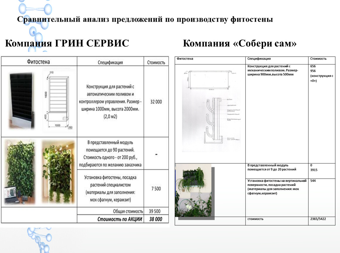 Сравнительный анализ предложений по производству фитостены